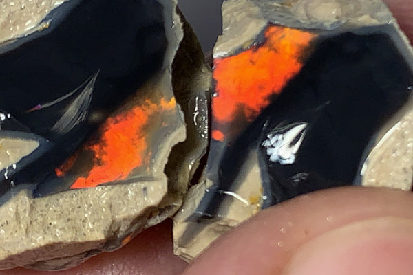 Why Black Opal is Worth 10x More than White opal: Explained