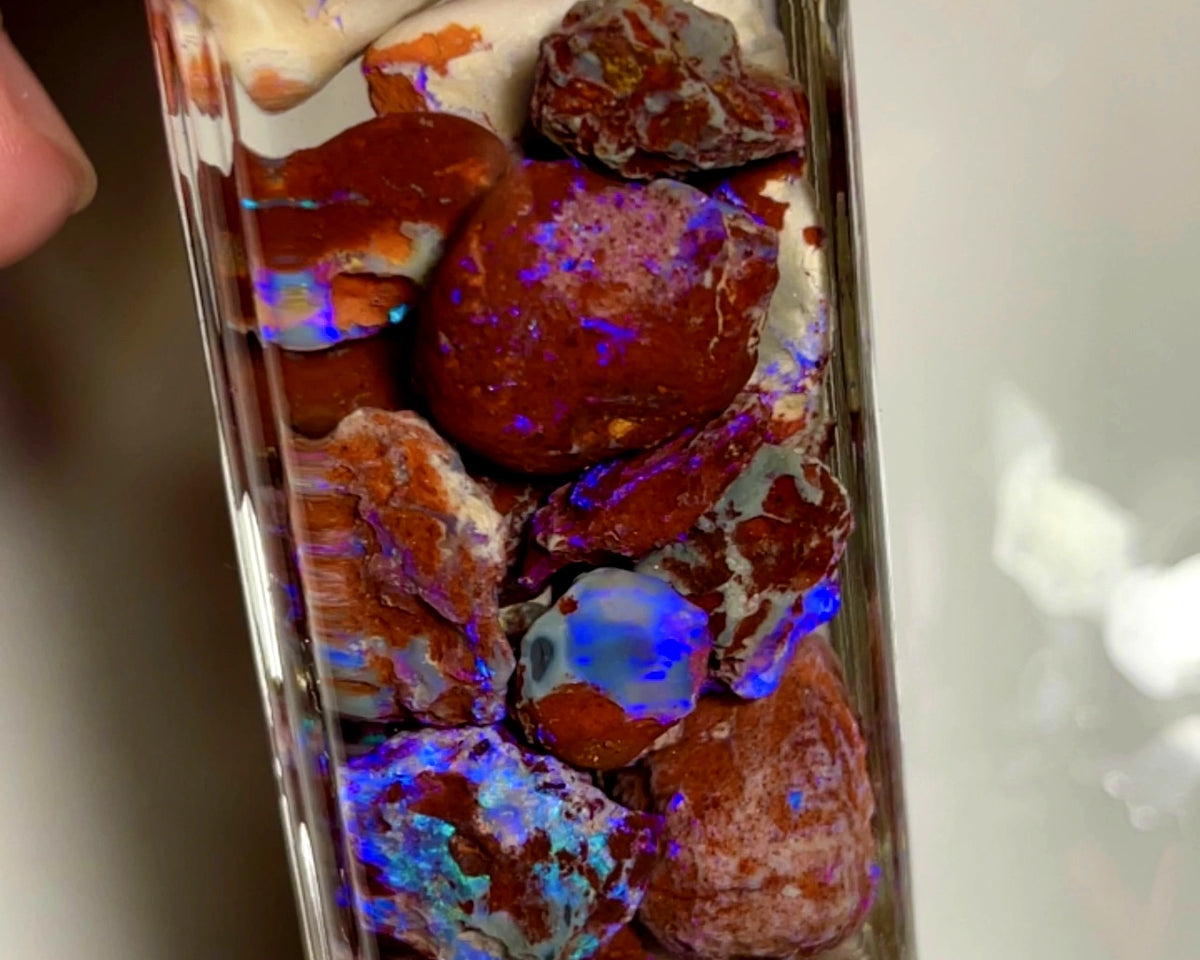 Lightning Ridge Rough Opal Parcel 145cts GAMBLE rough Red Host rock Bright Mostly Blue colour 20x15x10 to 8x7x6mm WAE60