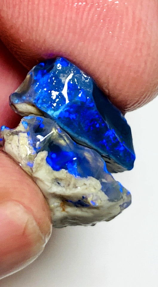 OPAL MONTH SPECIAL Lightning Ridge Rough Pair Gem Blacks opal 12cts Gorgeous Bright Royal Blues 17x14x4mm & 15x9x5mm WSZ54