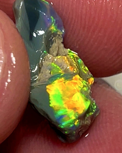 Lightning Ridge Rough Opal 5.25cts Dark Base Carvers Candy High Grade Bright Orange/Yellow Multifires 17x12x8mm WAE2