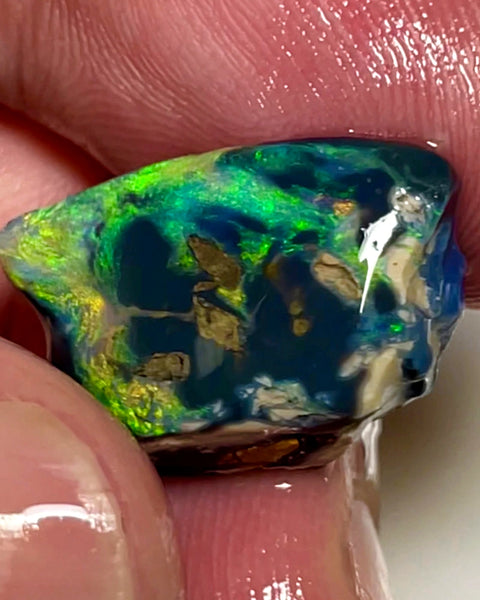 Lightning Ridge Opal Rough/Rub Black Specimen From the Miners Bench® 9.5cts Gorgeous Bright Multi fires 20x12x7mm WAC51