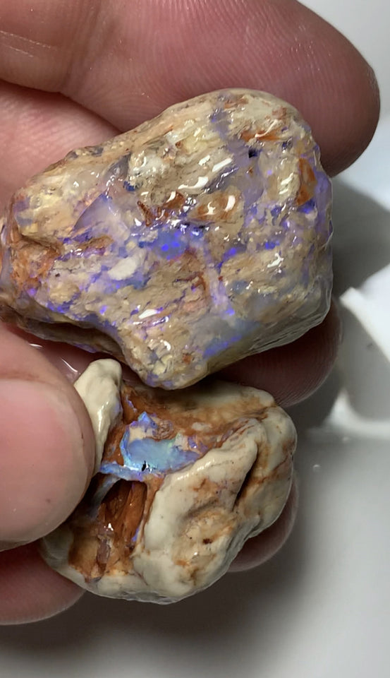 NO RESERVE Lightning Ridge Rough Opal 110cts Opalised wood fossil formations with host rock colourful rough suit being carved Potential 37x25x11mm & 25x22x10mm WSS12