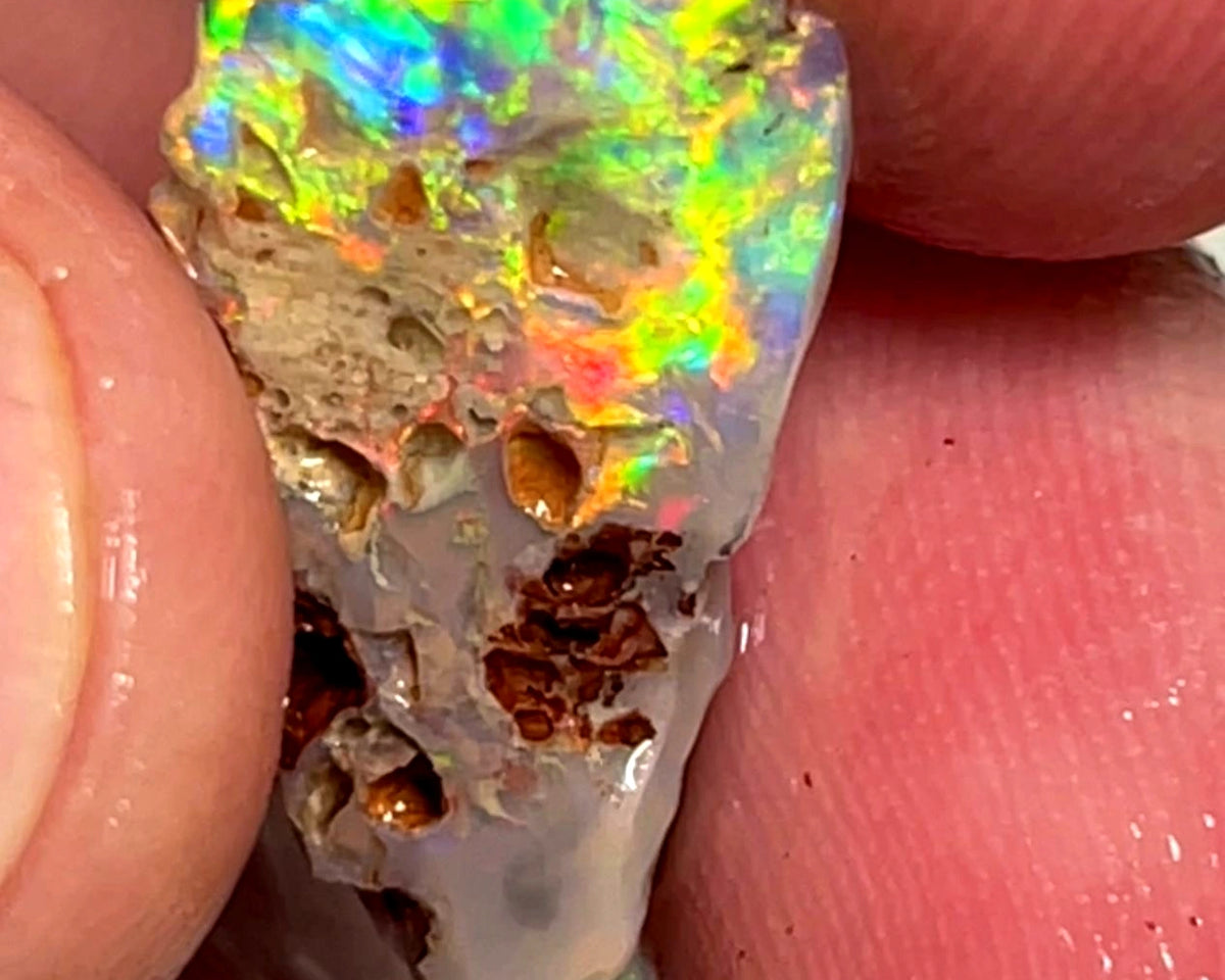 Lightning Ridge Opal Dark Base Seam Rough Rub 4.95cts Super Vibrant & Bright Multifires 24x12x3mm WAE51