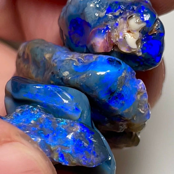 Lightning Ridge opal rough 36.00cts Blues on Black Stack 34x27x7mm x15x7x5mm NSW077