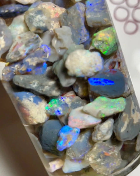 Lightning Ridge knobby opal rough 275cts Lots Multicolours to gamble 20x12x7 to 8x6x4 mm NSW084 (jar not included)