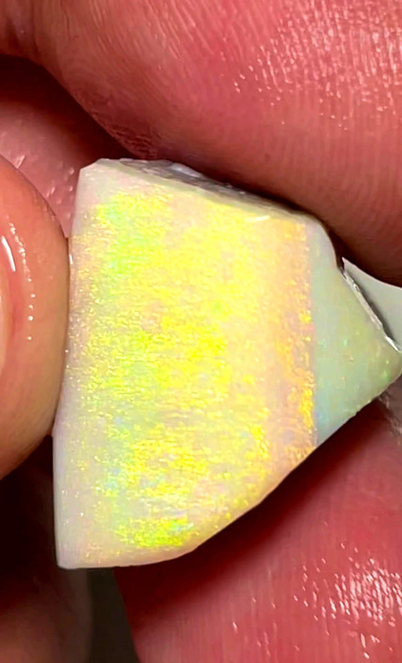 Lightning Ridge Rough / Rub Light/Dark base Seam opal Miners Bench® 18.25cts Nice Big size Vibrant Bright Yellow dominant Multifires 20x12x11mm WAC30