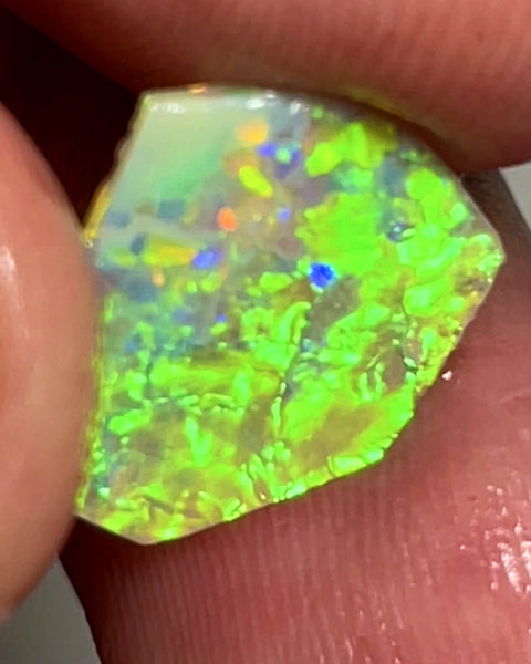 WARNING SUN GLASSES NEEDED Bling Rough / Rub Jewellery Grade Crystal opal Suit Inlay or doubleting Miners Bench® 1.4cts Saturation of Gorgeous Vivid Vibrant Multifires  14.000 x 11.000 x 1.500 mm WAE0