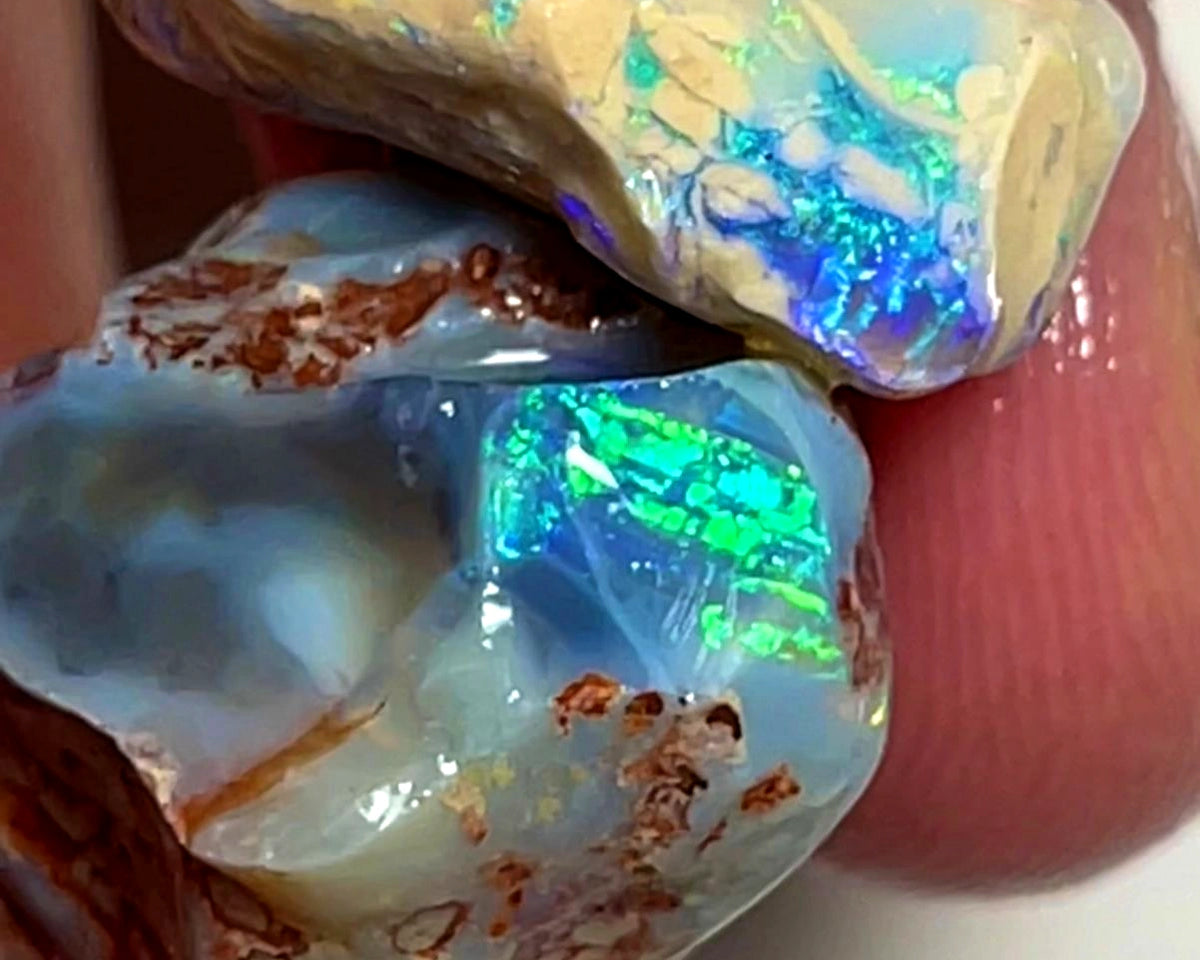 Lightning Ridge Rough Opal 33cts Pair Bright Dark Base Knobby Nice Bright Multi colour fires to Cut / carve & polish 21x18x14mm to 19x14x7mm 1011