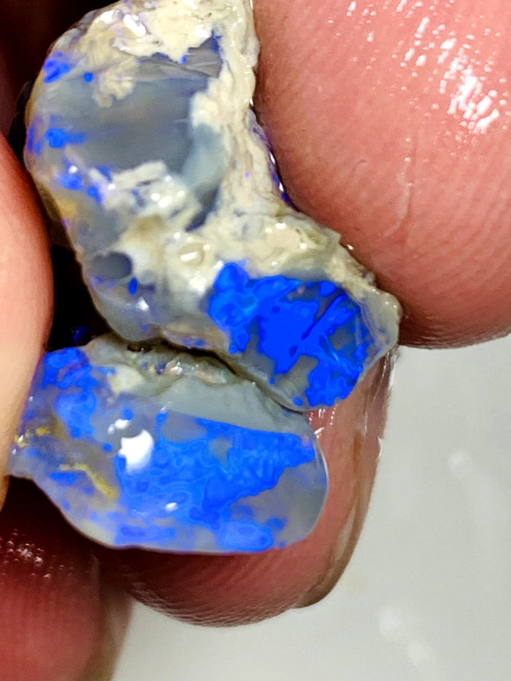 OPAL MONTH SPECIAL Lightning Ridge Rough Pair Dark Seam opals 26cts Stunning Bright Blues 22x17x9mm & 15x13x4mm WSZ55