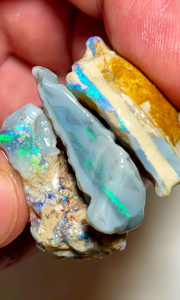 Lightning Ridge Rough Opal 79cts Big sized Dark Base Seam Blue & green showing in bars 32x19x11mm to 30x15x9mm WAD41