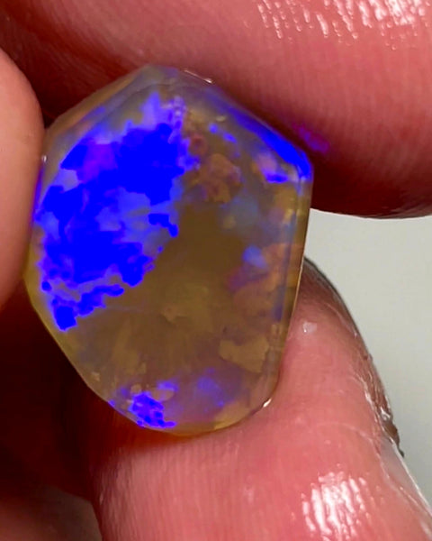 Lightning Ridge Opal Dark Crystal Knobby Rough Rub 6.75cts Broad Flash Pattern Gorgeous Bright Blues 19x15x4mm 1024