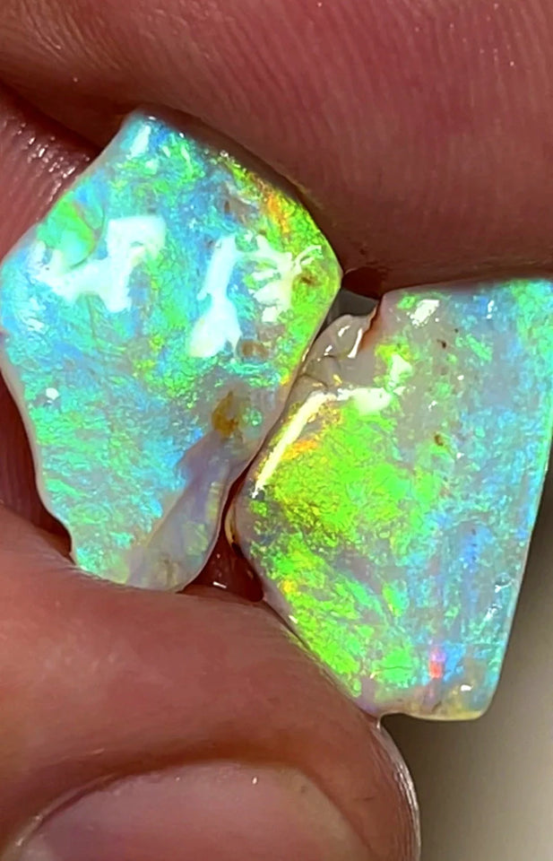 Opal Fever Mate Auction