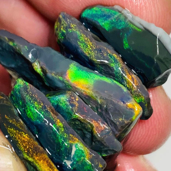 N1-N4 Mulga® Field Black Cutters Candy® Rough Opal parcel 64cts Gem Grade Top Exotic Bright Multi colour fires 35x25x8mm to 20x15x5mm MUL99