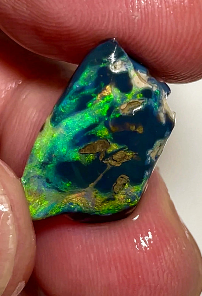 Lightning Ridge Opal Rough/Rub Black Specimen From the Miners Bench® 9.5cts Gorgeous Bright Multi fires 20x12x7mm WAC51