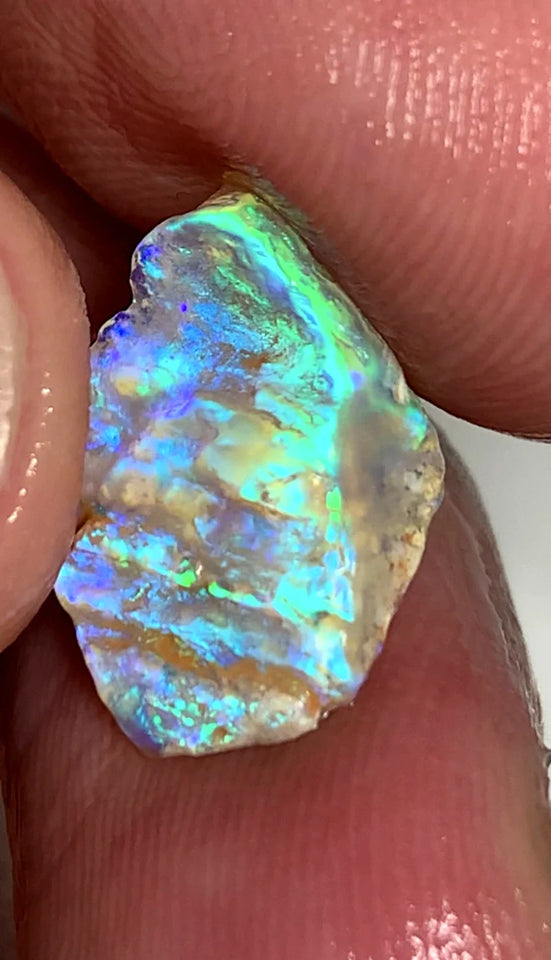 Opal Fever Mate Auction