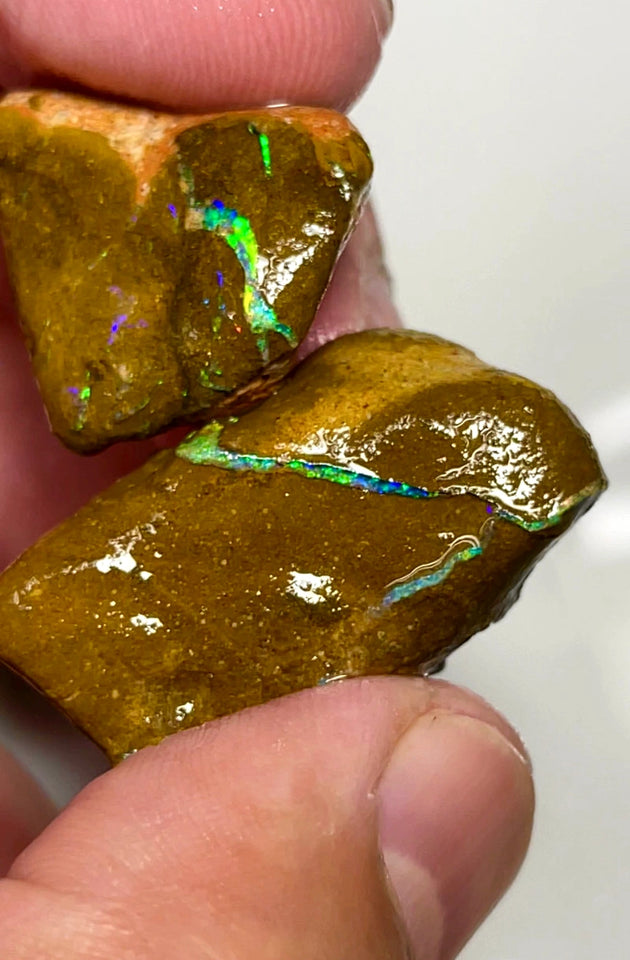 Queensland Boulder Matrix opal 110cts rough Pair Winton Nice Sized Gorgeous Multi colour Bars to expose & explore 35x22x18mm & 25x20x14mm WAD50