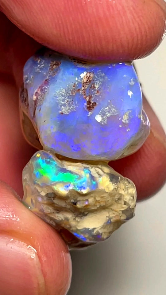 Opal Fever Mate Auction