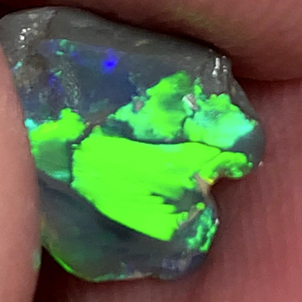 Lightning Ridge Miners Bench® Little Knobby Opal Rub Gorgeous Dark Base Rough / Rub 1.45cts Vibrant & Bright Multifires broad pattern 10x10x2.5mm WAA49