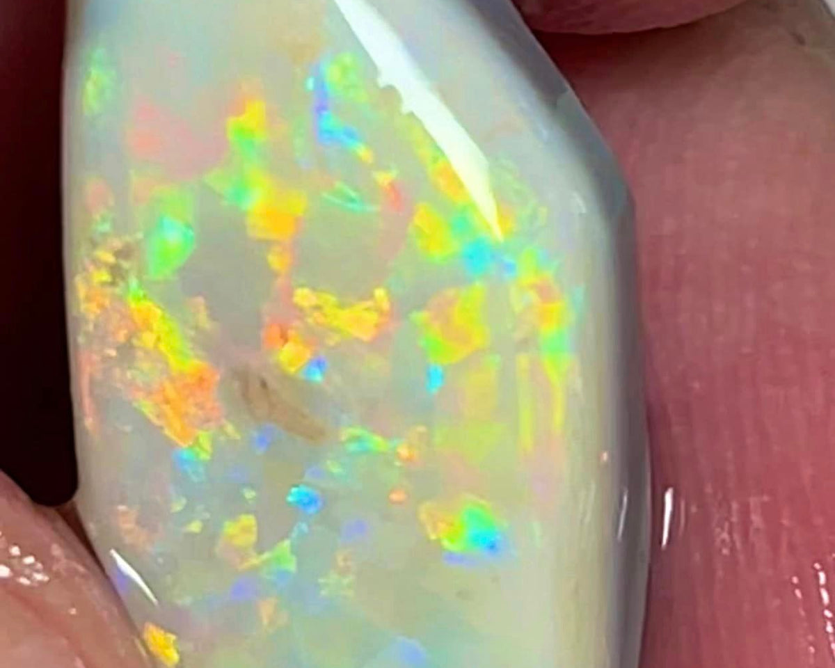 Lightning Ridge Opal Big Rough/Rub/ Light Base High Grade From the Miners Bench® 8.5cts Lovely Bright Multi fires 20x10x5mm MFB21