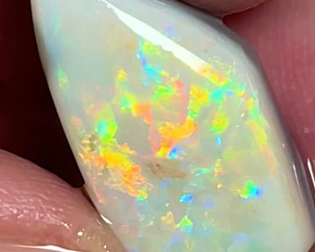 Lightning Ridge Opal Big Rough/Rub/ Light Base High Grade From the Miners Bench® 8.5cts Lovely Bright Multi fires 20x10x5mm MFB21