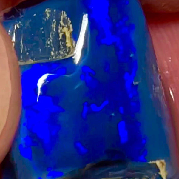 Lightning Ridge Opal Nice Big Rough/Rub Black Crystal Base High Grade From the Miners Bench® 14.5cts Lovely Bright Royal Blue fires 20x14x6mm MFB24