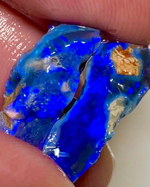 Lightning Ridge Rough Opal 12.4cts Vibrant Royal Blues on Black seam pair 20x8x6mm & 20x8x6mm MFB42