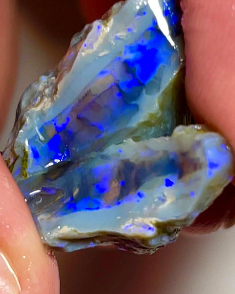 Lightning Ridge Rough Opal 31cts Stunning Dark Crystal Knobby Split with Nice bars with Vibrant Blues  26x20x13 & 20x8x7mm WAE57