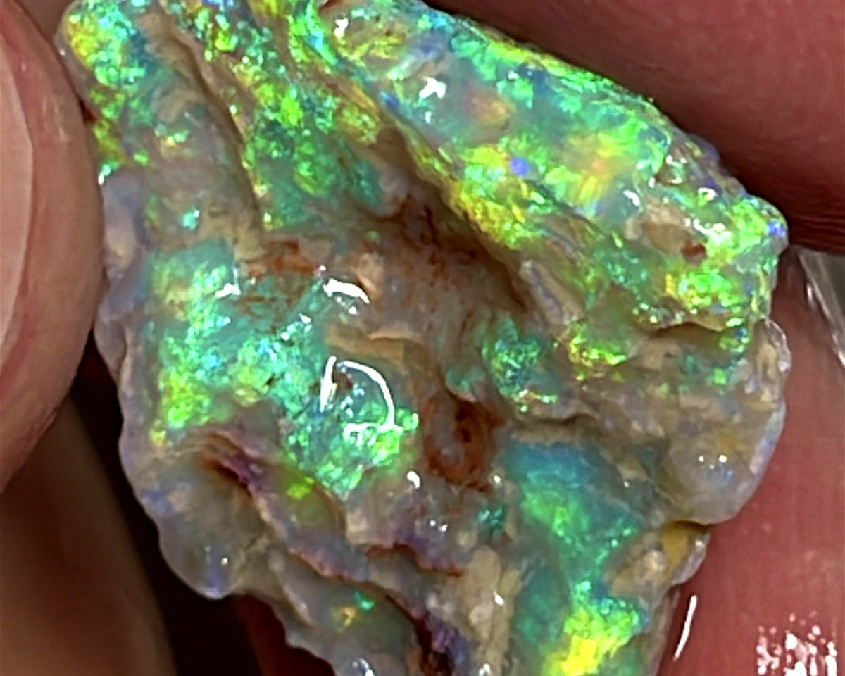 Lightning Ridge Rough Opal 7.25cts Crystal Witches hat Knobby Amazing Vibrant Very Bright Multicolours 18.000 x 17.000 x 3.000 mm WAE47