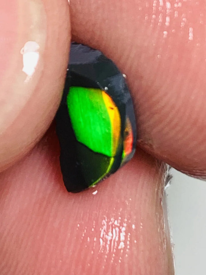 Lightning Ridge Rough / Rub Black Seam opal Miners Bench®  Baby Harlequin 1.45cts Exotic Super Bright Vibrant & Vivid Multifires 12x6x2mm WSY92