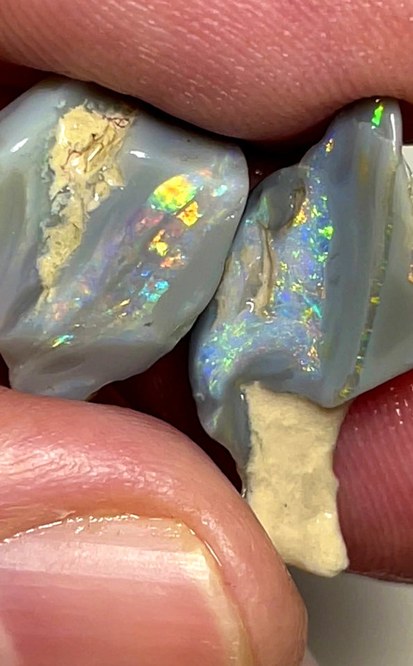 Lightning Ridge Opal Rough Dark Base knobby Pair 13.25cts Gorgeous Very Bright Multifires 18x12x5mm & 18x12x5mm WAD36