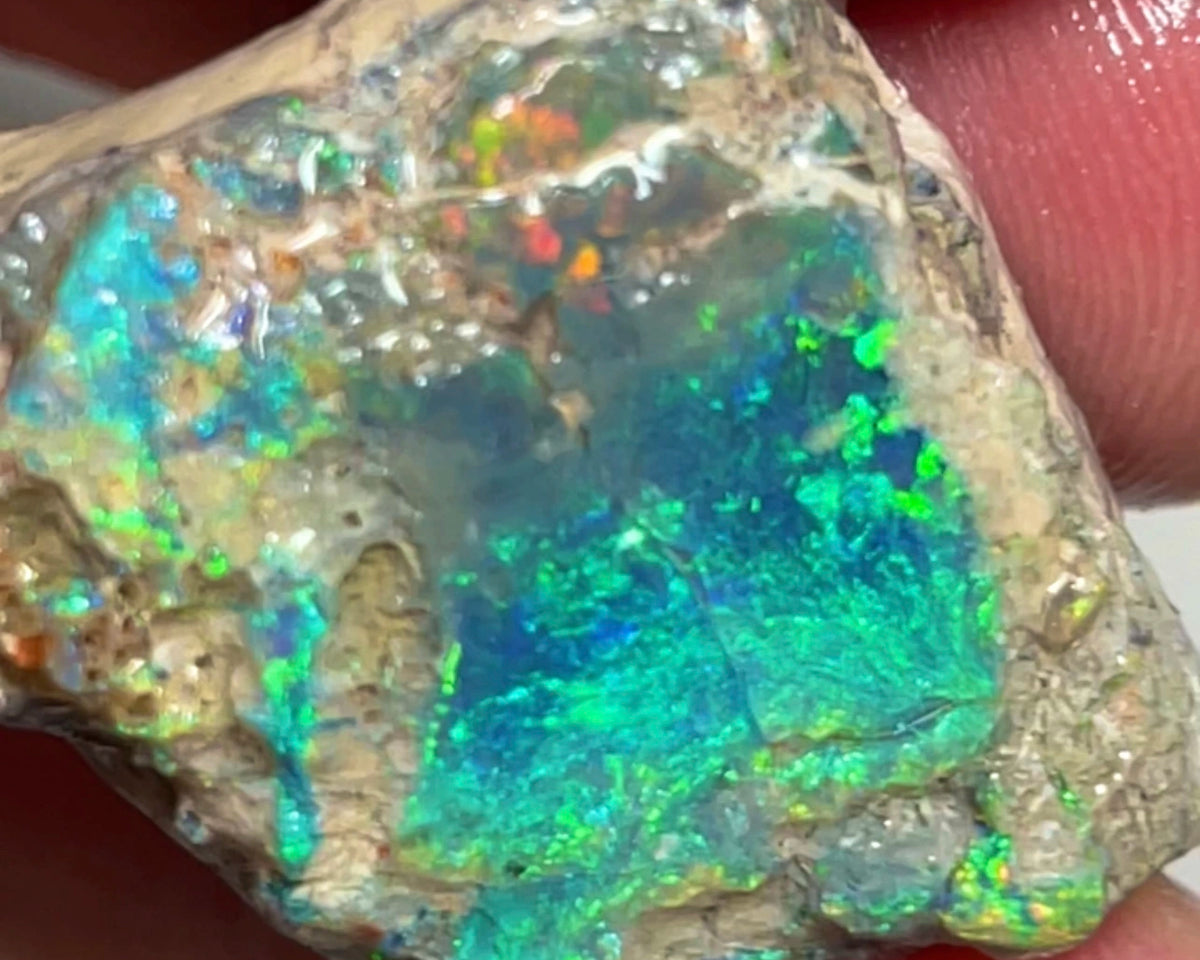 Coocoran Opal formation rub/rough 45.00cts Stunning Golds/Greens/Reds & Bright Multifires to exposed face  25.000 x 24.000 x 13.000mmmm NSW073