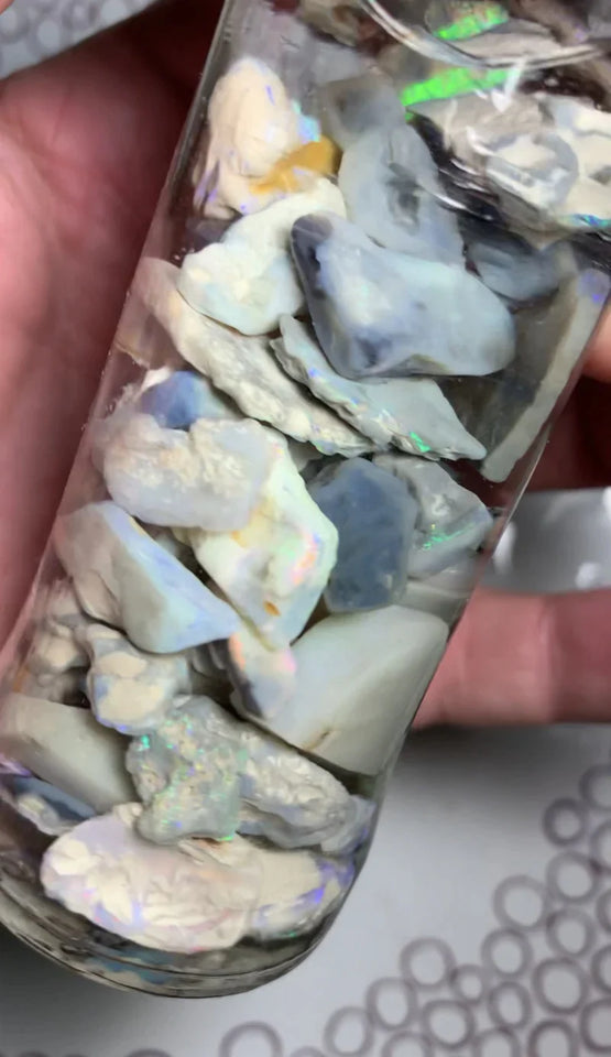 Opal Fever Mate Auction