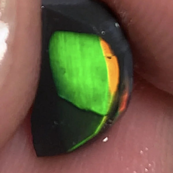 Lightning Ridge Rough / Rub Black Seam opal Miners Bench®  Baby Harlequin 1.45cts Exotic Super Bright Vibrant & Vivid Multifires 12x6x2mm WSY92