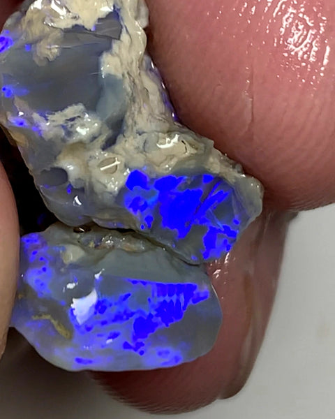 OPAL MONTH SPECIAL Lightning Ridge Rough Pair Dark Seam opals 26cts Stunning Bright Blues 22x17x9mm & 15x13x4mm WSZ55