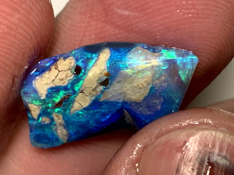 Opal Fever Mate Auction