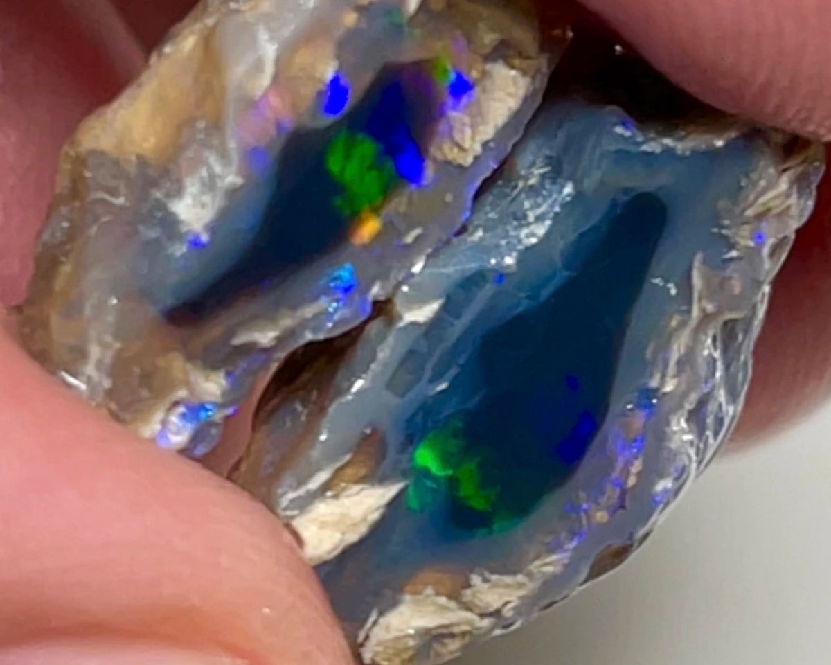 Lightning Ridge knobby opal rough 15.75cts Sun flashes of Multifires sat on black center 20x12x7 & 15x5x4mm NSW090