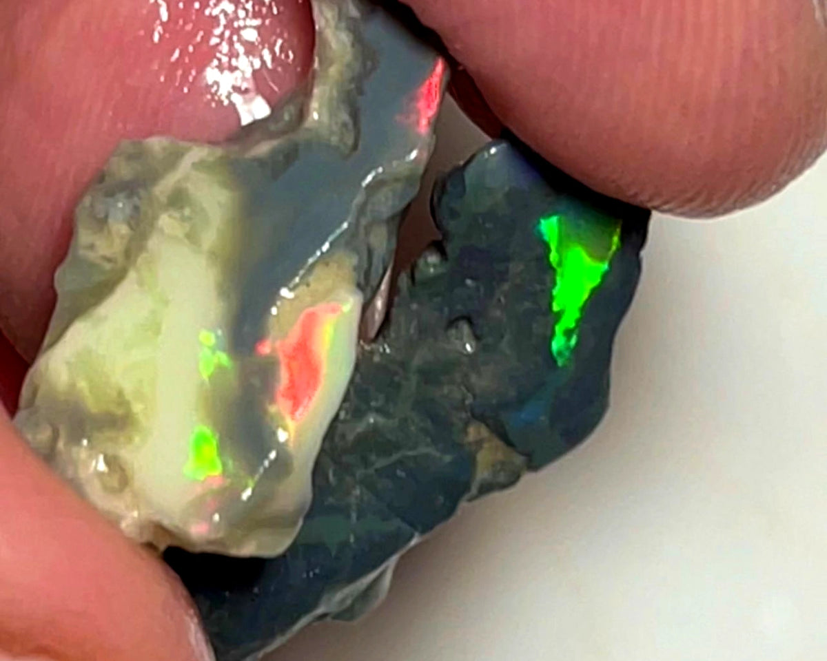 Lightning Ridge Opal Rough n Rub Pair Black & Dark Bases 15cts Showing nice Bright Multifires  23x18x5 & 22x10x4 mm WAE64