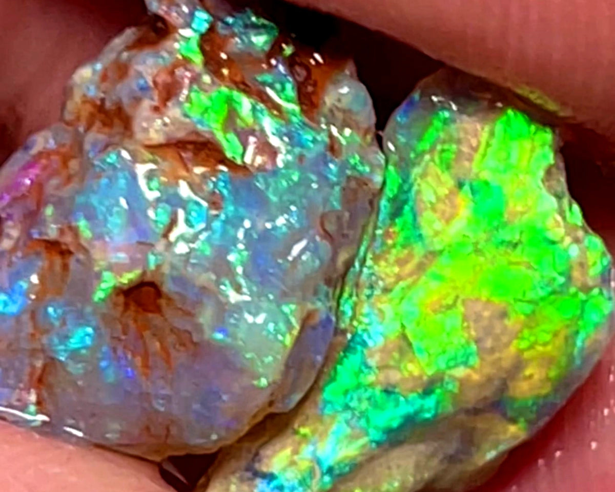 Lightning Ridge 8cts Bright pair of gorgeous Dark base Crystal knobby Opal rough to cut/carve Bright Multicolours 17x9x7mm & 16x7x6mm 1104