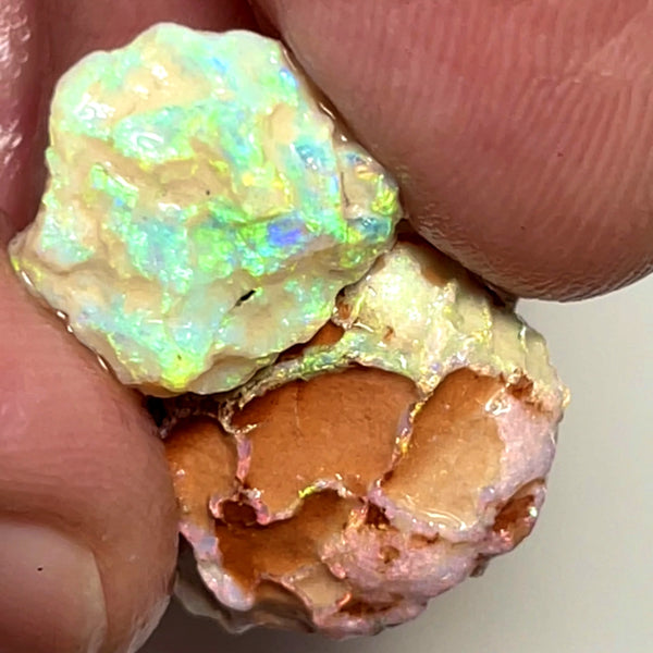 Lightning Ridge 18cts Nice pair of Dark base Crystal Opal formations rough to cut/carve or Collect Gorgeous Bright Multicolours  18x15x8mm & 14x11x4mm 1004