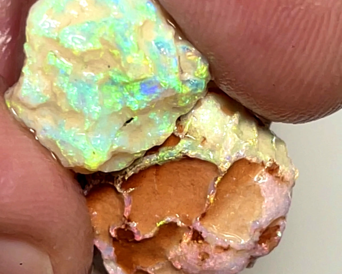 Lightning Ridge 18cts Nice pair of Dark base Crystal Opal formations rough to cut/carve or Collect Gorgeous Bright Multicolours  18x15x8mm & 14x11x4mm 1004