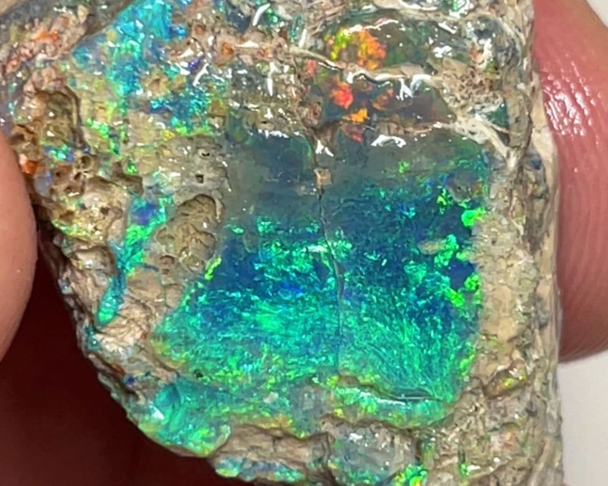 Coocoran Opal formation rub/rough 45.00cts Stunning Golds/Greens/Reds & Bright Multifires to exposed face  25.000 x 24.000 x 13.000mmmm NSW073