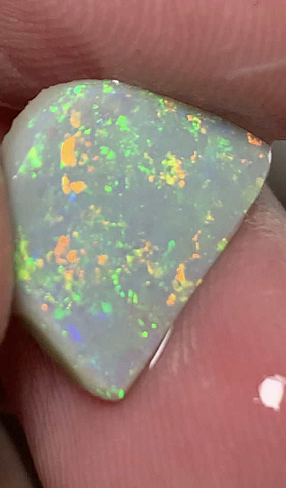 Lightning Ridge Rough / Rub Grey Crystal opal Miners Bench® 3.4cts Clean & Amazing Multifires 14x12x3mm WSV20