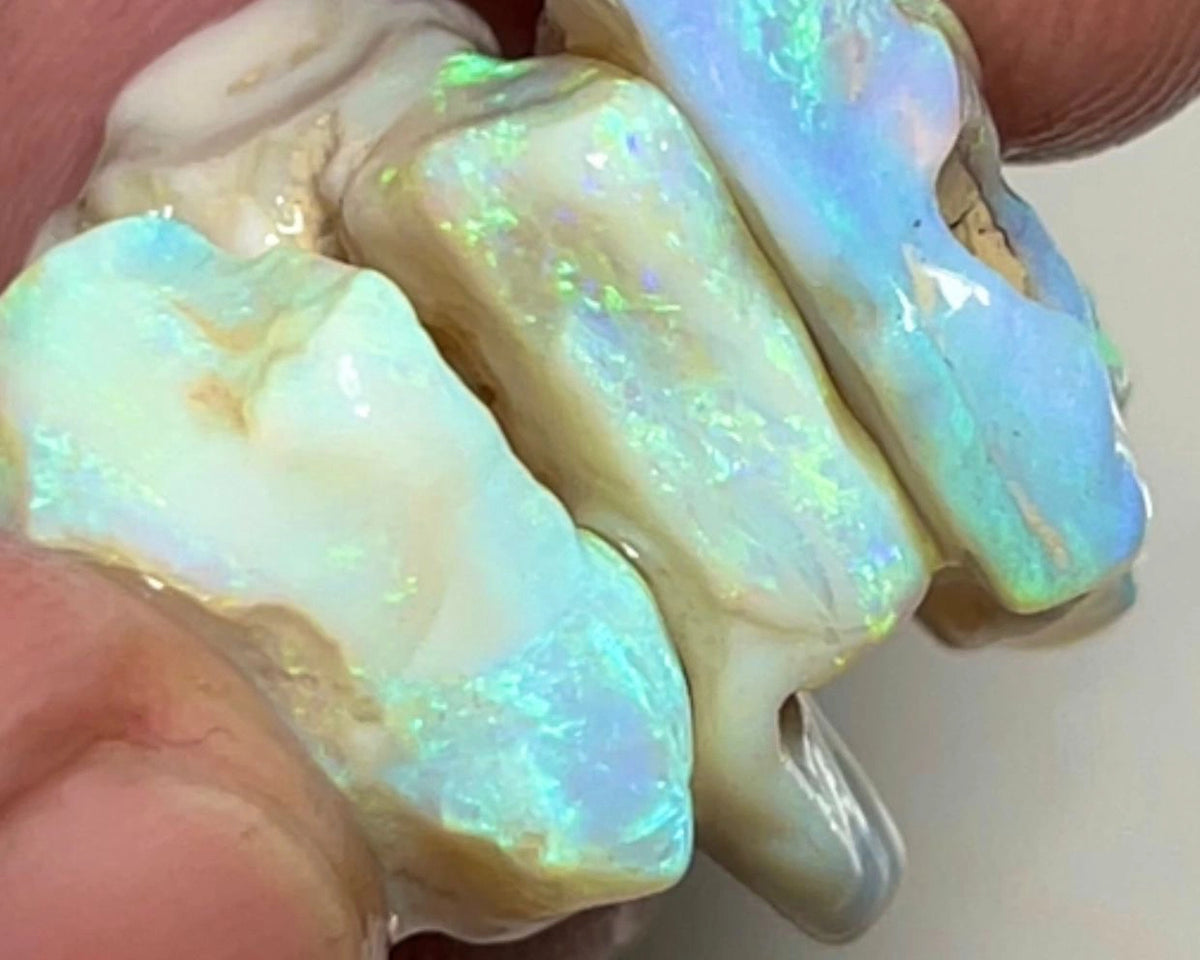 Lightning Ridge Rough Thick Seam Opals 29.00cts Light base with Multicolour bars showing lots of potential 20x17x8 to 15x11x7 mm NSW049