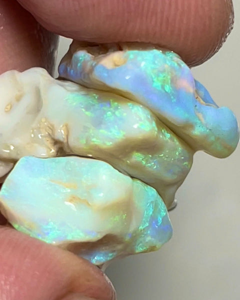 Lightning Ridge Rough Thick Seam Opals 29.00cts Light base with Multicolour bars showing lots of potential 20x17x8 to 15x11x7 mm NSW049