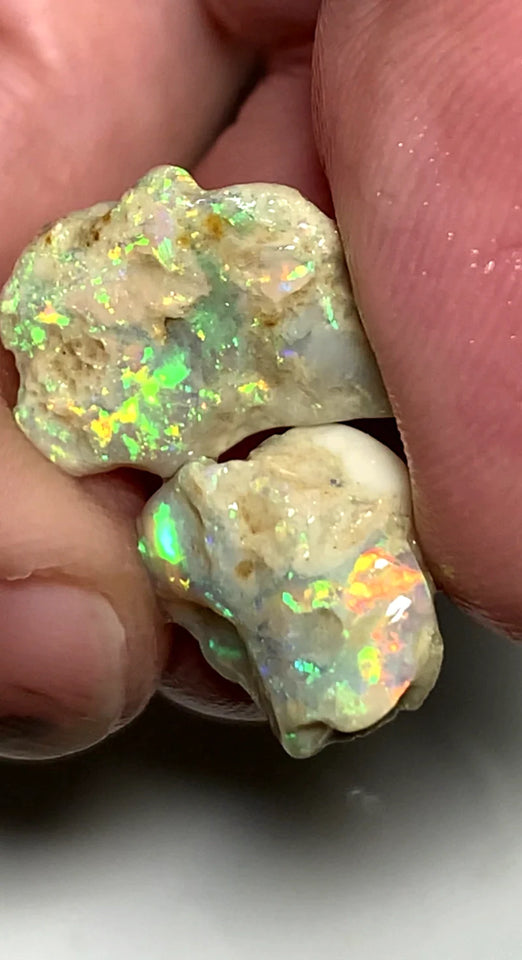 Opal Fever Mate Auction