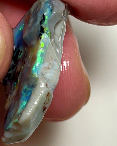 Lightning Ridge Rough Opal 22cts Stunning Dark Base Seam lots of Nice Bright Multi colour fires to Cut / carve & polish 28x16x6mm 1005