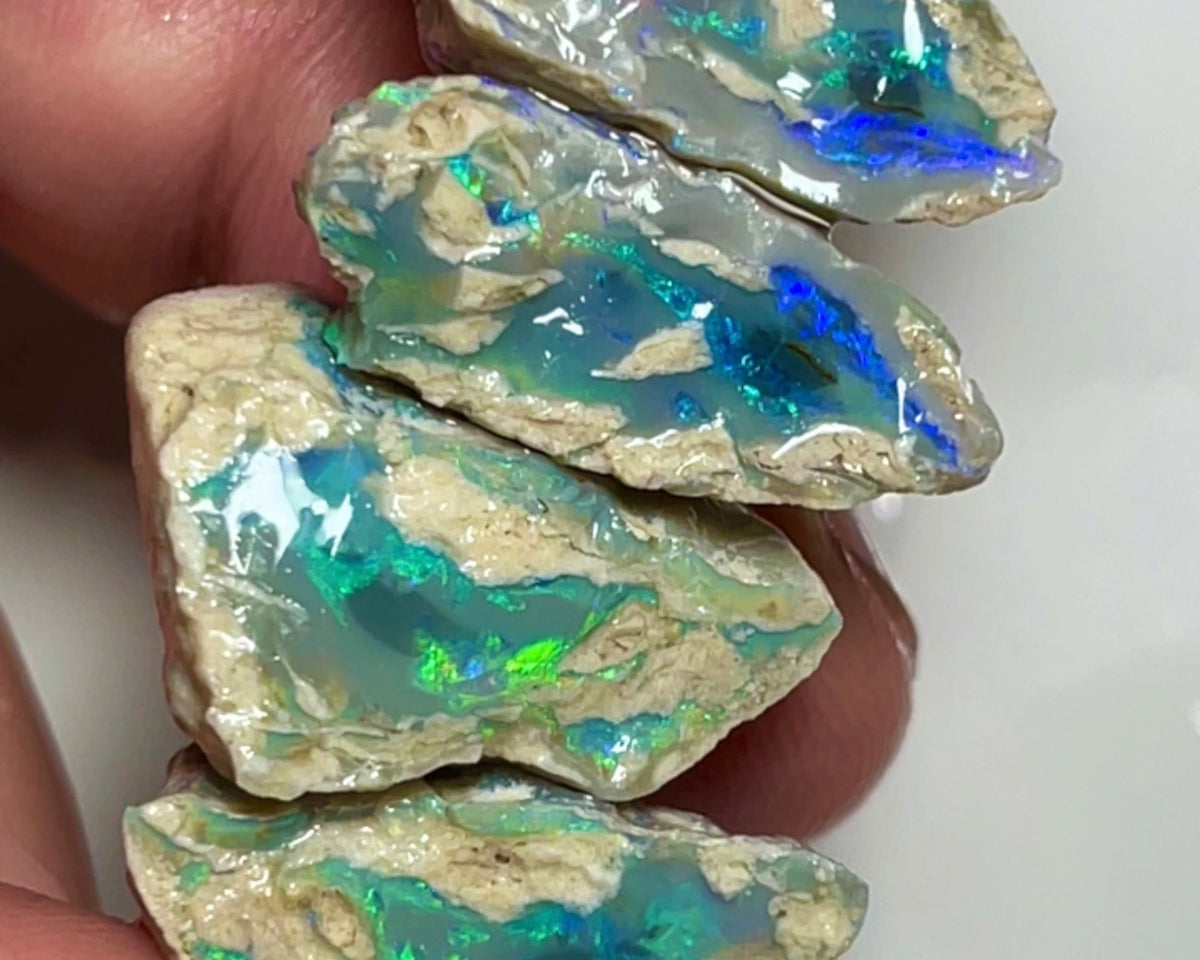 Lightning Ridge knobby opal rough 2 pairs of splits 59.00cts Gorgeous Green Blue dominant Multicolours to cut 23x15x12 to 20x12x8mm NSW089