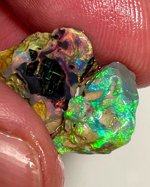 Lightning Ridge Rough Opal 8.75cts Dark Crystal Fossil Formations showing nice Reds &  Bright Multicolours 14x12x4 & 13x10x6 mm WAE54