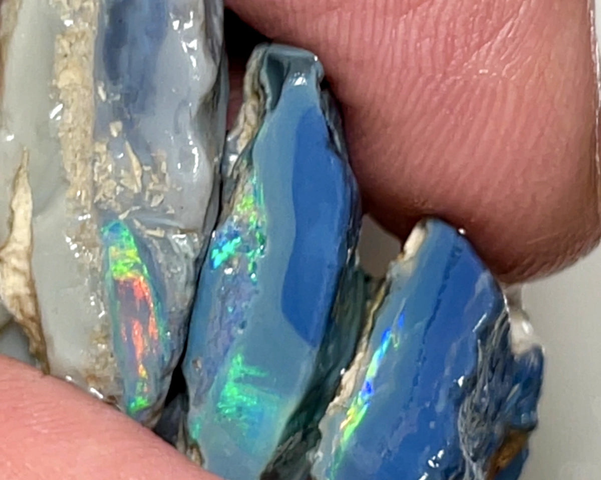 Lightning Ridge Rough Opal 47cts Big Stack of Thick Dark Base Seams Bright Multi colour fires to Cut / carve & polish 35x15x10mm to 20x15x7mm 1008