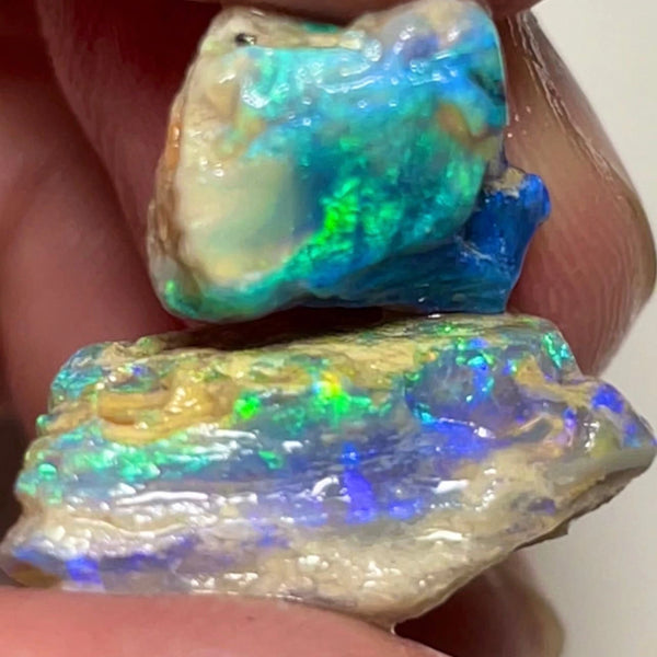 Lightning Ridge Gorgeous knobby opal rough Pair 22.50cts Gorgeous Bright Greens & Blues dominant  to cut 20x15x10mm & 12x10x8mm NSW096